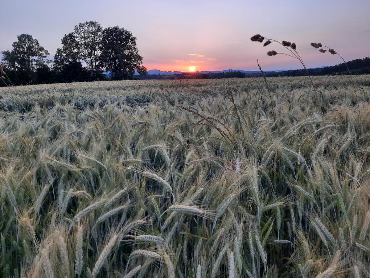 Grainmeisterhof Niederwaldkirchen エクステリア 写真