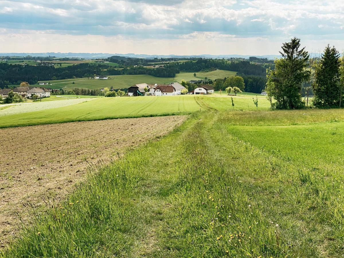 Grainmeisterhof Niederwaldkirchen エクステリア 写真