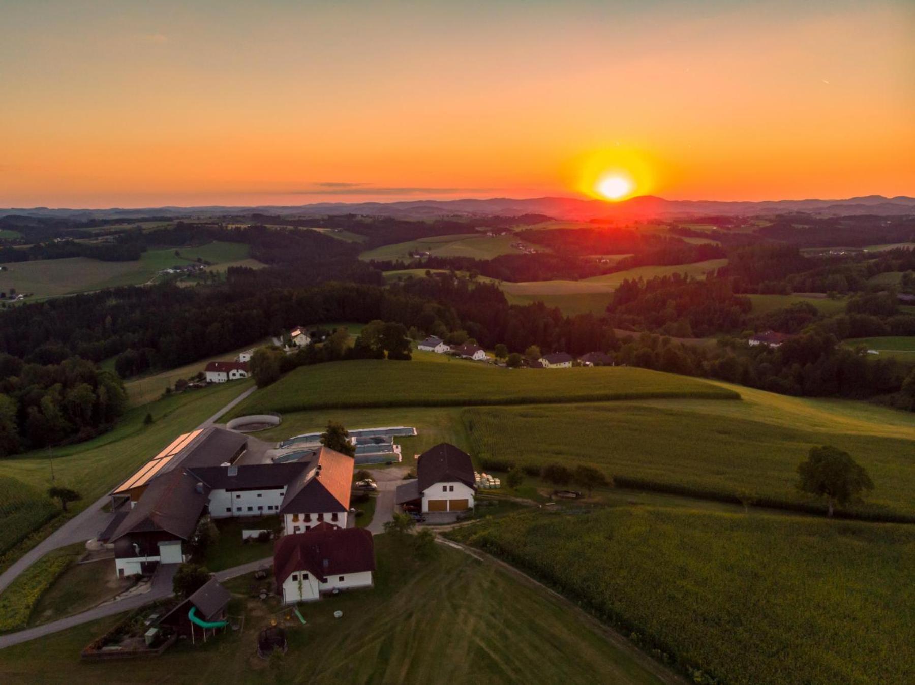 Grainmeisterhof Niederwaldkirchen エクステリア 写真